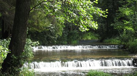 Rezerwat Szumy nad Tanwią – Susiec, Polska