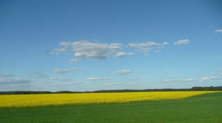Wycieczka do opola 027 – Opole, Polska