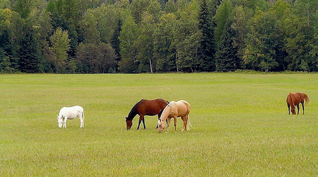 Montana, USA – Stany Zjednoczone Ameryki