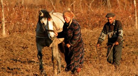 Krajobraz kulturowy okolic Butuceni- prace na polu – Mołdawia