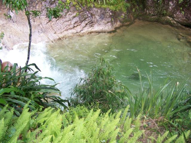 Cascada 049