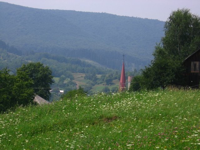 Kaczyka - Rumunia