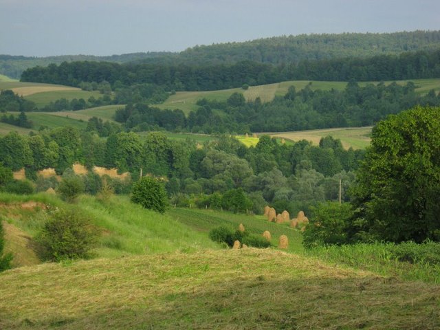 Kaczyka - Rumunia