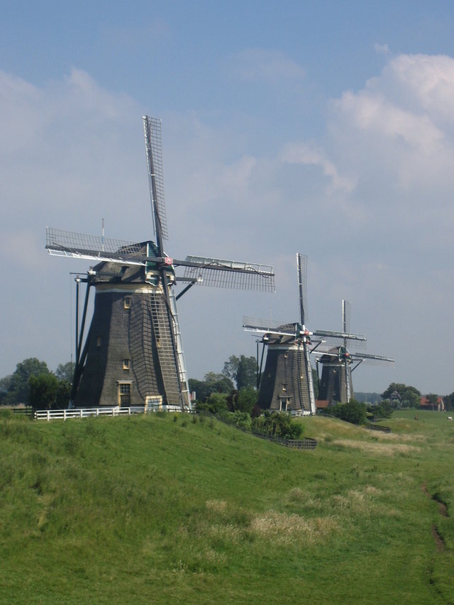 holenderskie wiatraki