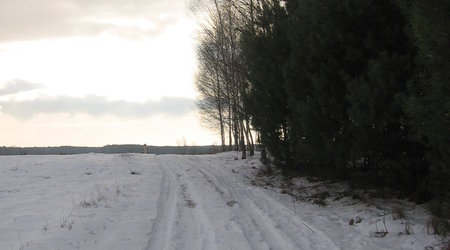 zima – Suliszów, Polska