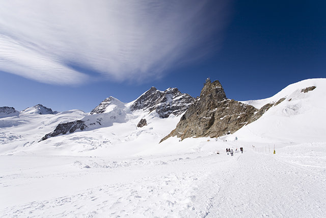 Img 0804