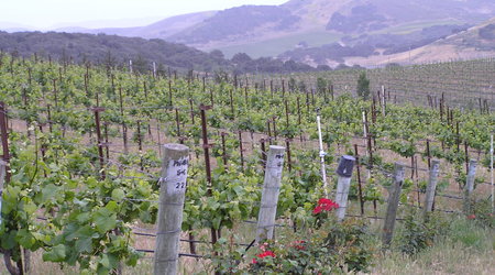 Santa Barbara, USA – Stany Zjednoczone Ameryki