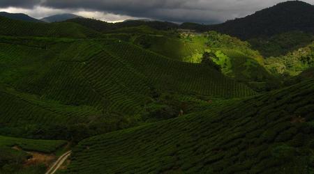 Cameron Highlands, Malezja