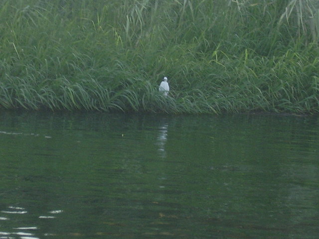 P9260646