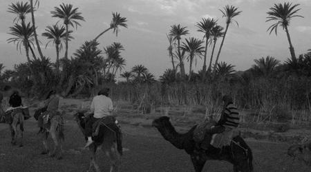 Karawana, Sahara, Maroko