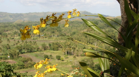 Panorama wyspy Bohol – Filipiny