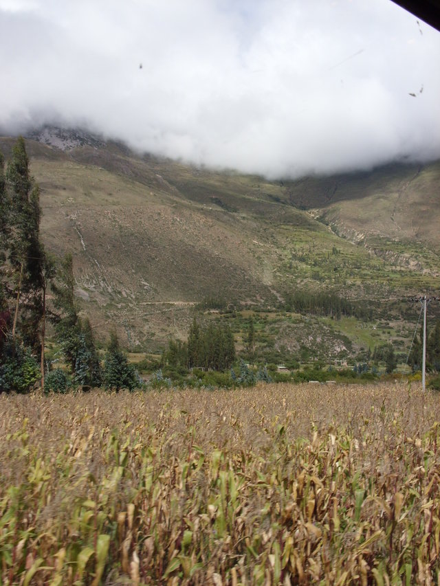 37983 - Cusco