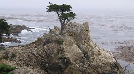 Samotny Cyprus, Droga krajowa 101, "Big Sur", Kalifornia – Stany Zjednoczone Ameryki
