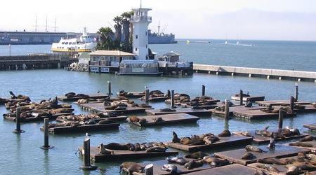 Przystań 39, San Francisko, Kalifornia – Stany Zjednoczone Ameryki
