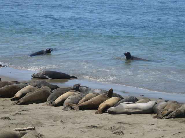 California 064