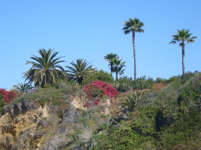 California 114