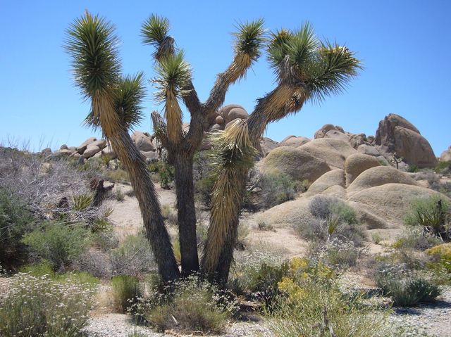 California 149