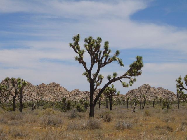 California 163