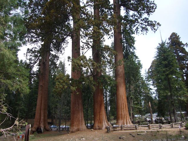 California 169