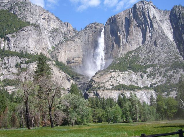 California 229