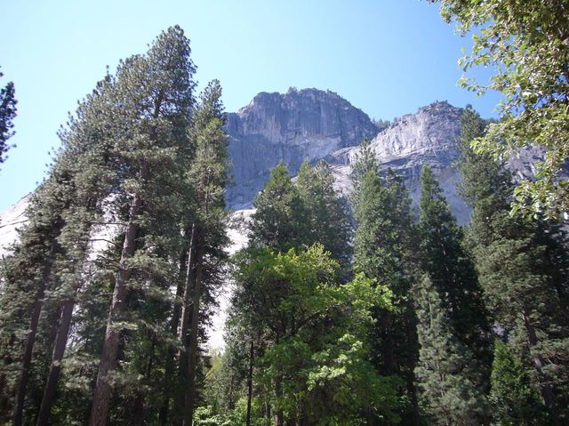 California 230