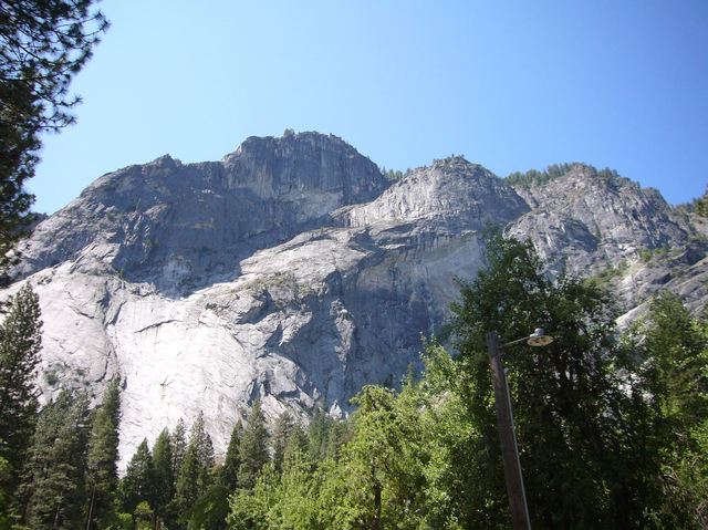 California 231