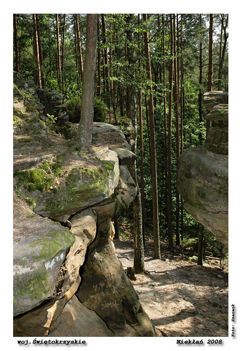 Rezerwat Geologiczny "Skałki Piekło" Niekłań