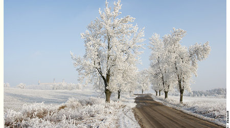 Chęciny – Polska