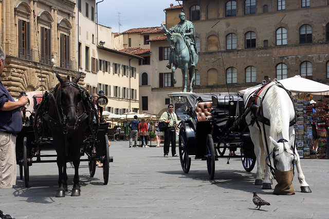Firenze