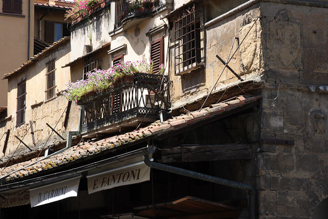 Firenze