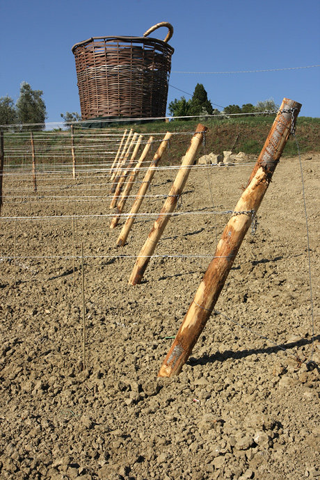 Greve in Chianti