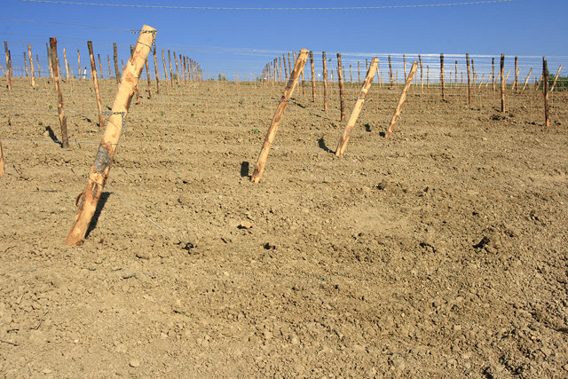 Greve in Chianti