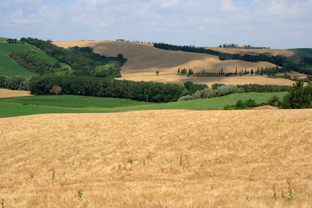 Greve in Chianti