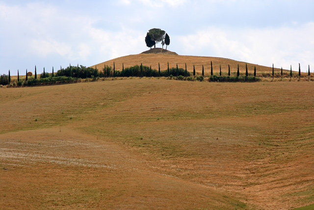 Greve in Chianti