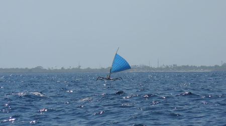 39400 - Bali – Indonezja