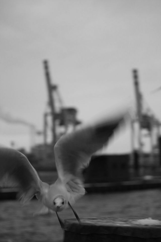 Hamburg Hafen