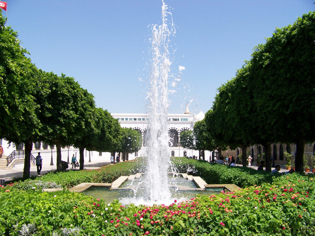 Tunis