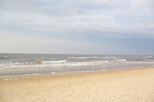 ,,bałwanki''