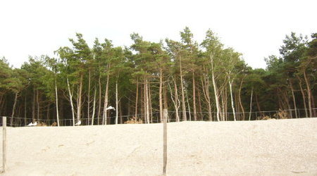 wydmy – Morze Bałtyckie, Polska