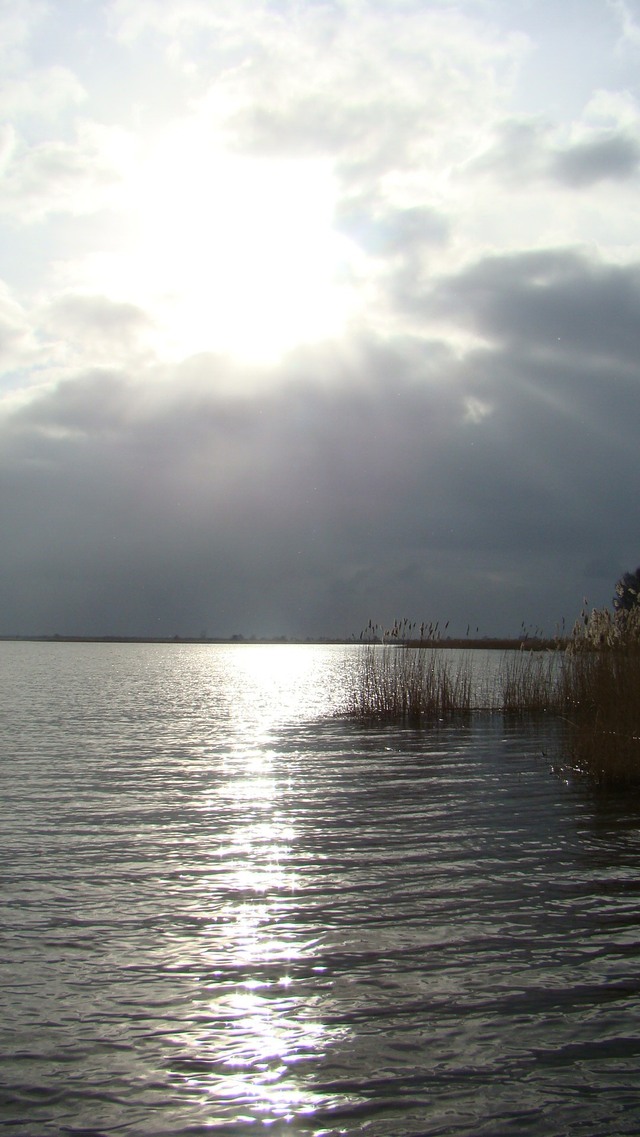 jezioro przybrzeżne