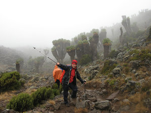 Kili 25