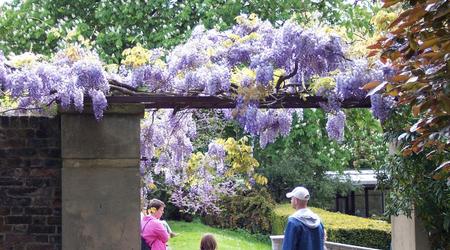 Londyńskie parki - Holland Park – Londyn, Wielka Brytania