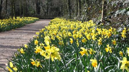 Londyńskie parki - Holland Park – Londyn, Wielka Brytania