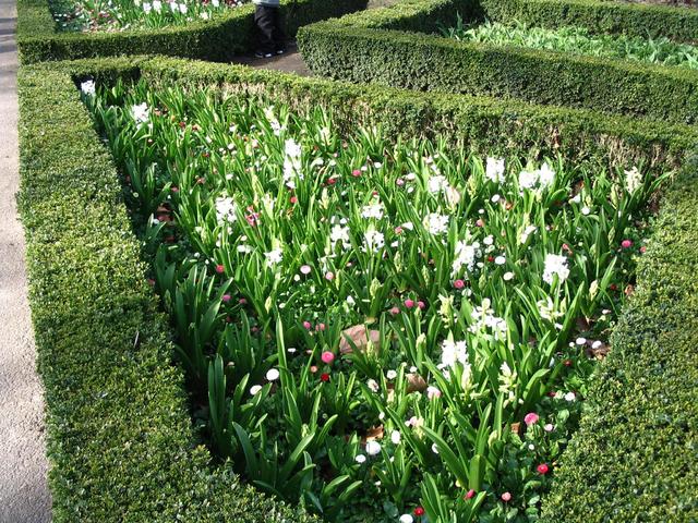 Londyńskie parki - Holland Park