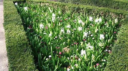 Londyńskie parki - Holland Park – Londyn, Wielka Brytania
