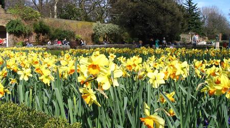 Londyńskie parki - Holland Park – Londyn, Wielka Brytania