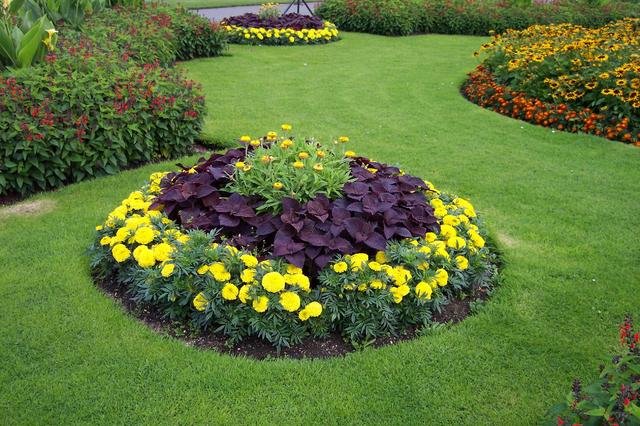 Londyńskie parki - Kew Gardens