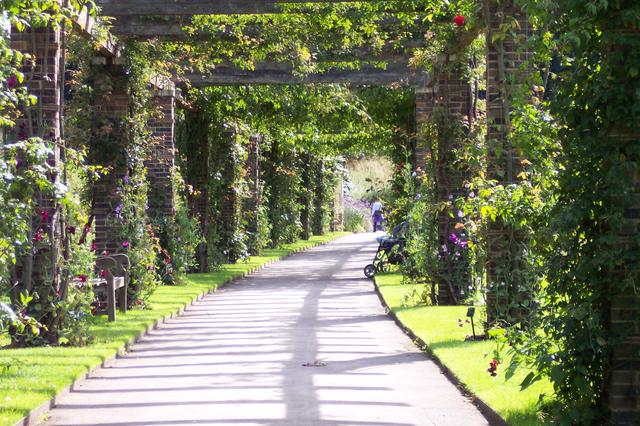 Londyńskie parki - Kew Gardens