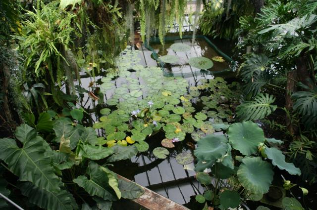 Londyńskie parki - Kew Gardens