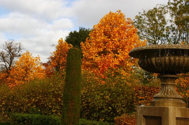 Londyńskie parki - Regents Park